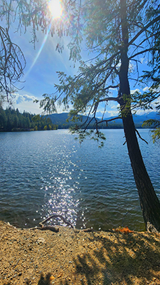 Nearby Sisikyou Lake!